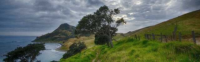 imagemagick-jpg-unchanged-50%