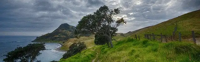 imagemagick-webp-unchanged-50%