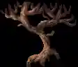 imagemagick-webp-c64-15%