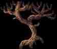 imagemagick-jpg-c256-20%