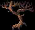 imagemagick-jpg-c256-25%