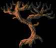 imagemagick-jpg-c8-40%