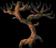 imagemagick-webp-c8-40%