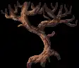 imagemagick-webp-c32-50%