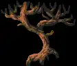 imagemagick-webp-c8-50%