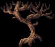 imagemagick-jpg-unchanged-55%