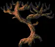 imagemagick-webp-c8-60%