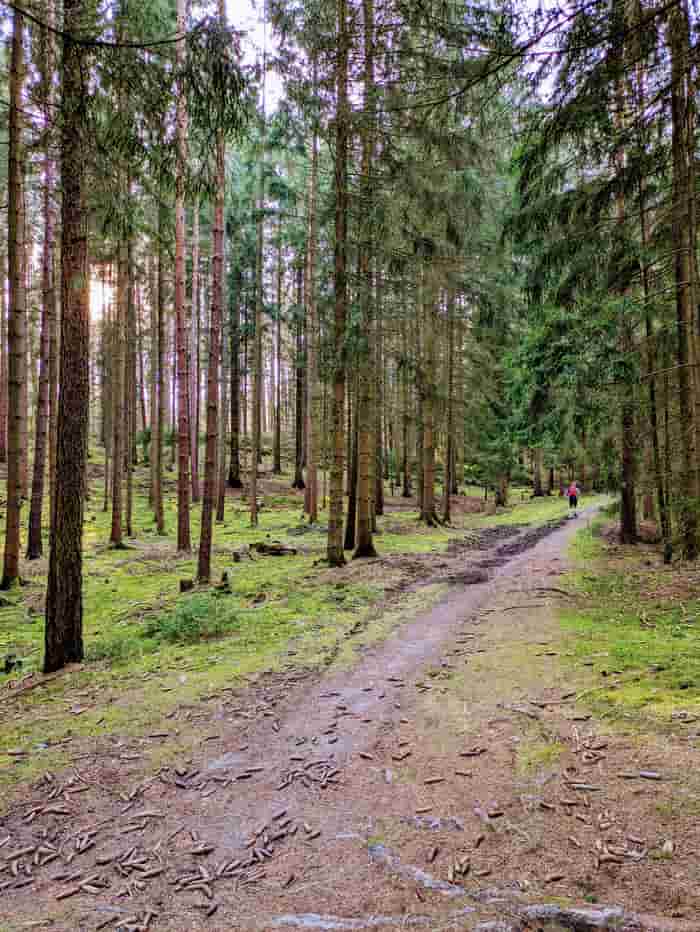 mozcjpeg-jpg-unchanged-18%