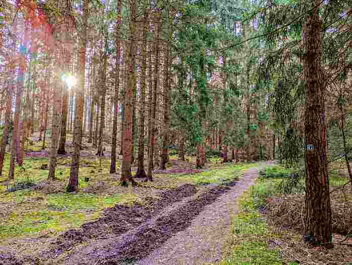 imagemagick-jpg-unchanged-9%