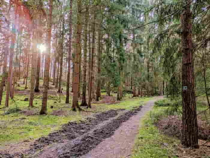 mozcjpeg-jpg-c256-14%