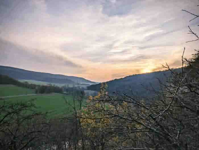 cjpegli-jpg-c256-12%