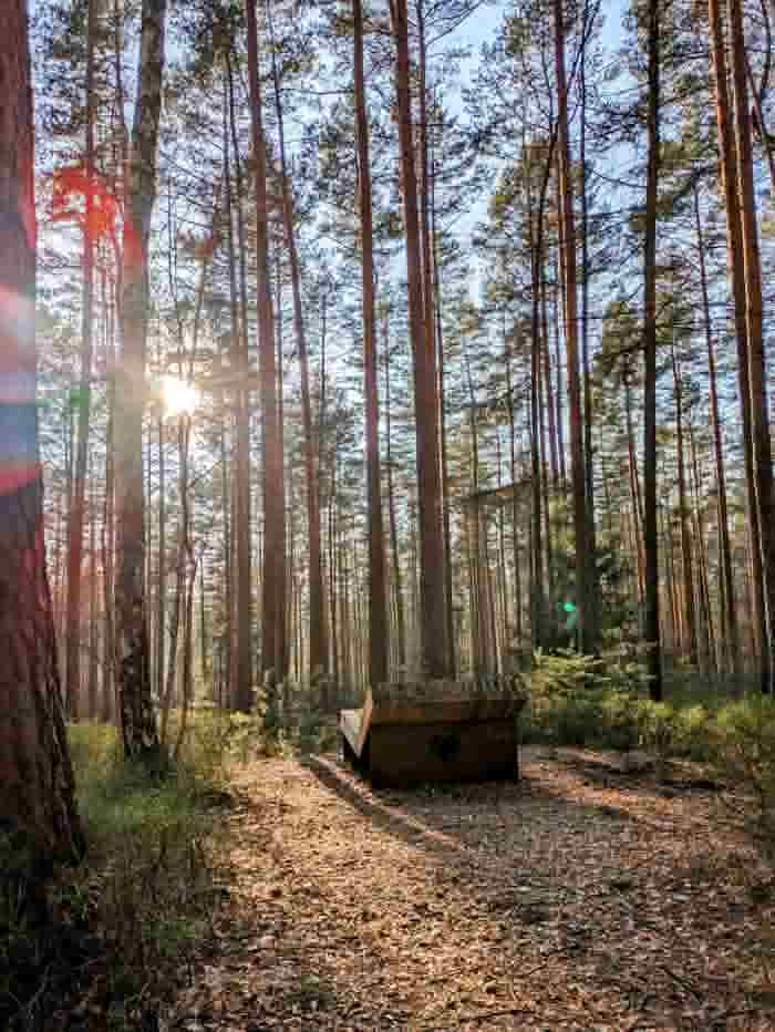 cjpegli-jpg-unchanged-6%