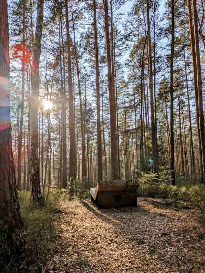 mozcjpeg-jpg-c256-20%