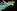 imagemagick-webp-c4-11%