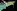 imagemagick-webp-c4-20%