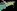 imagemagick-webp-c4-23%