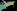 imagemagick-webp-c4-25%