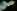 imagemagick-webp-c4-3%