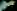 imagemagick-webp-c4-4%