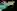 imagemagick-webp-c4-6%