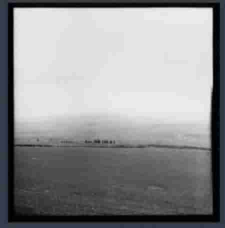 cjpegli-jpg-c256-8%