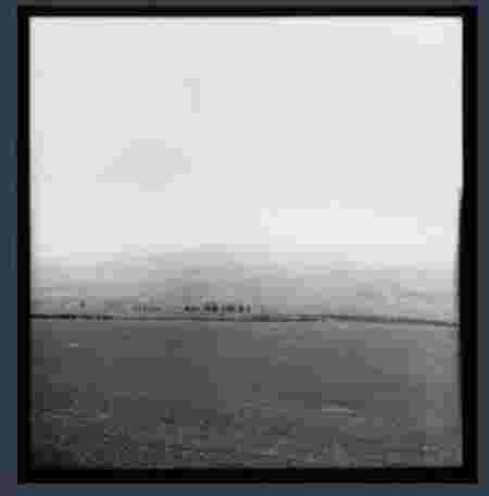 imagemagick-jpg-unchanged-10%