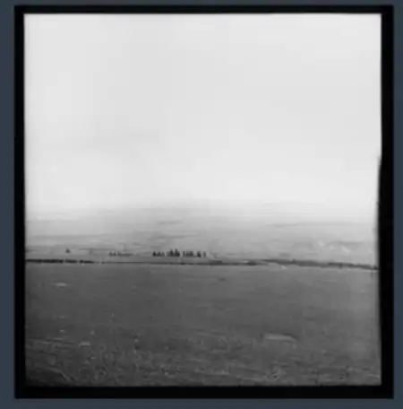 imagemagick-webp-unchanged-50%