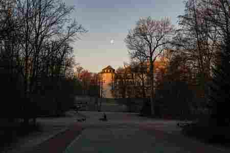imagemagick-jpg-unchanged-15%
