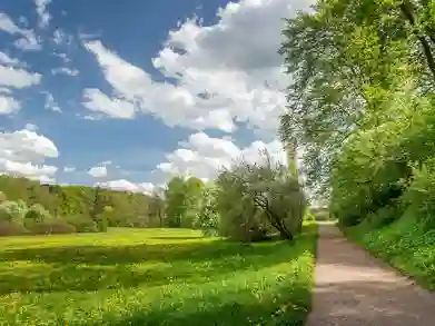 imagemagick-webp-unchanged-11%