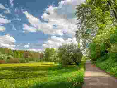 imagemagick-jpg-unchanged-9%
